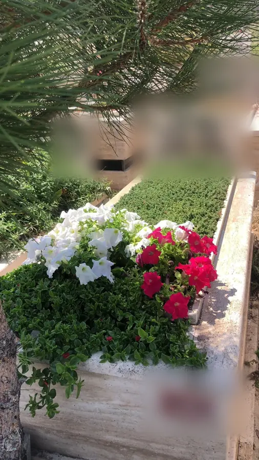 Tamamlanmış kabir bakımı, çiçek ve zemin düzeni